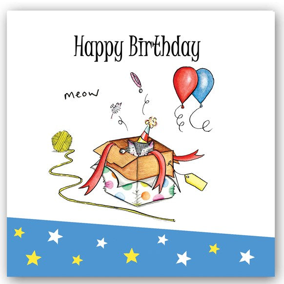 greeting,card,greetings,cards,occasions,happy,birthday,cat,box,gift,colourful,glitter,UK,England