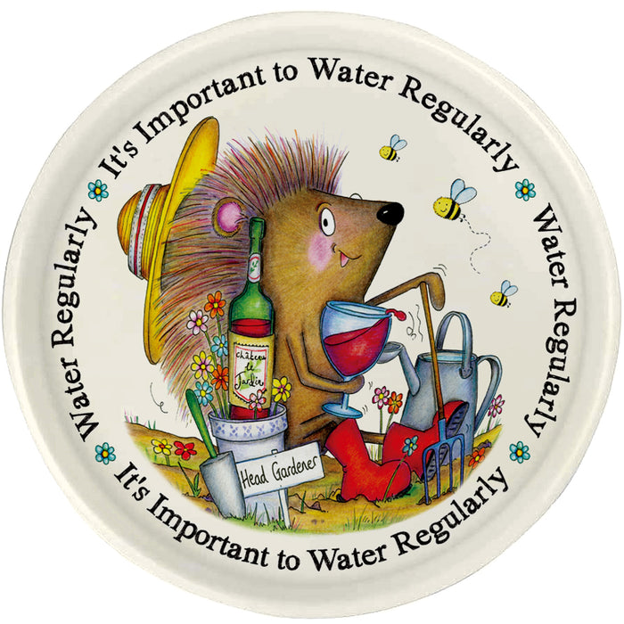 Water Regularly Drinks Tray