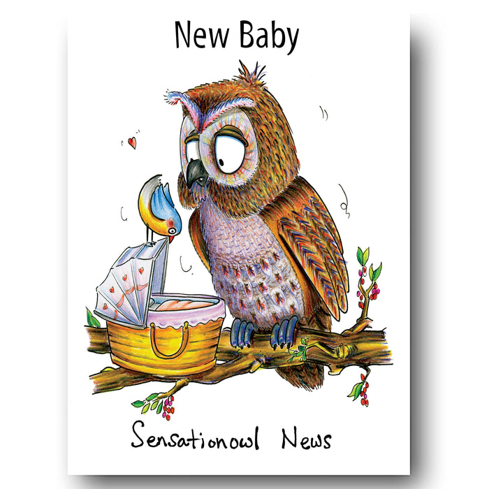 Sensation Owl News - New Baby