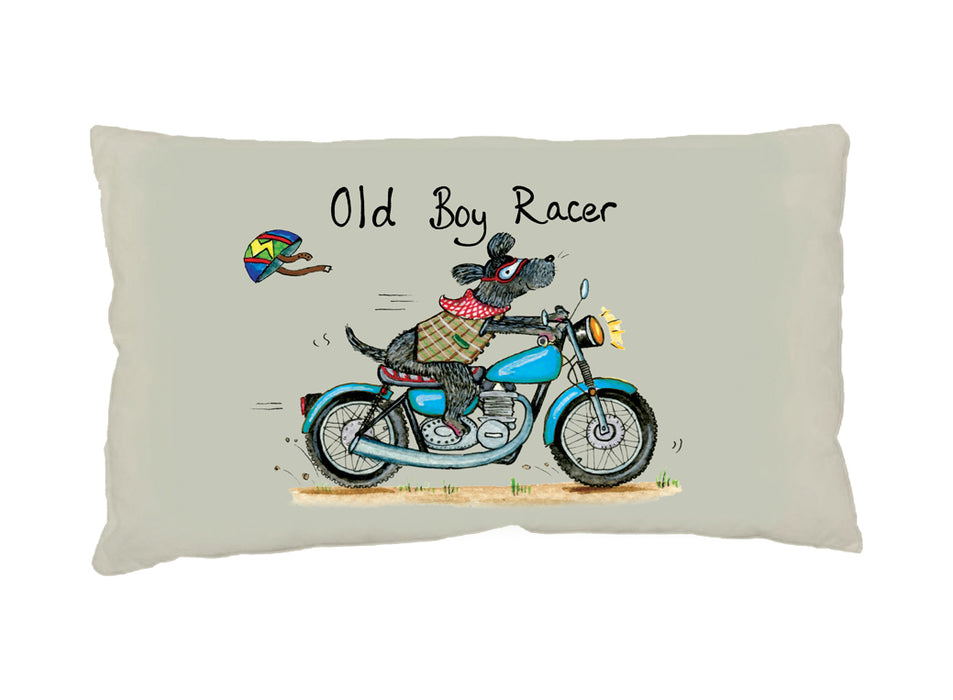 Old Boy Racer Cushion Small