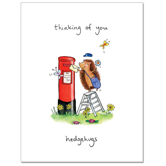 Hedgehog Post Box Greeting Card