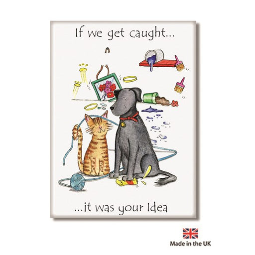 if,we,get,caught,dog,cat,mess,pet,pets,household,fridge,magnet,magnets,cockadoodle,colour,notes,gift,home,uk