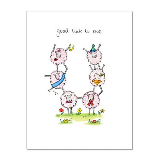 greeting,card,greetings,cards,good,luck,ewe,sheep,sheeps,animals,colourful,notes,gift,friend,UK,fun